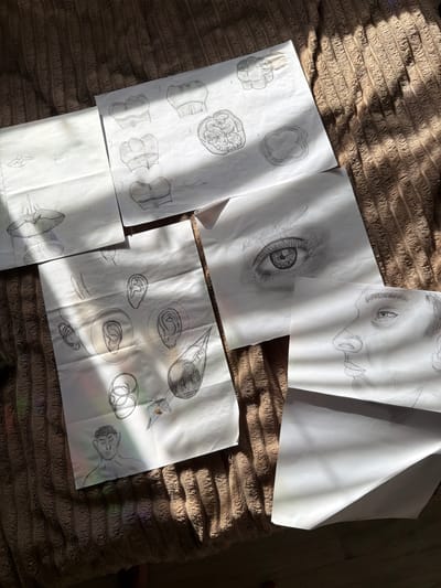 The image displays several sheets of paper with pencil sketches scattered on a textured, brown blanket. The sketches appear to be a collection of anatomical studies and artistic renderings.

On the top sheet, the upper portion of a face is visible, focusing on the eyes, nose, and mouth, rendered with shaded pencil lines. Below and to the left, another sheet features a detailed sketch of a human eye, capturing the intricate textures of the iris and eyelashes.

Further down, a sheet shows several sketches of bell peppers, both whole and in cross-section, along with individual pepper segments. To the right of the pepper sketches, another paper contains a series of drawings of ears in different perspectives, and what appears to be a study of a drill bit or similar pointed object.

In the lower section, a sheet presents a sketch of a human torso and head, depicted from the chest up, with the head turned to the side. The sketches vary in completeness and detail, suggesting they are part of a learning or creative process.

Sunlight streams across the scene, creating strong shadows and highlights on the paper and the blanket, indicating it is likely daytime. The soft, textured blanket suggests an indoor setting, possibly a bed or sofa. The overall impression is one of an artist or student working on their craft. No visible text is present on the sketches themselves, apart from some small markings on the pepper segment drawings. The location context of Nienburg/Weser, Germany, is noted but not visually evident in the image.