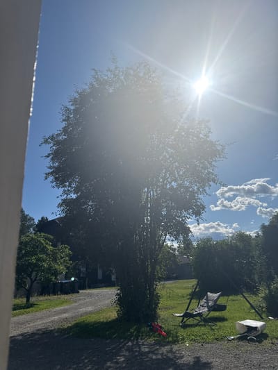 The image depicts a bright, sunny day in Moelv, Norway. The sun is a dominant feature, positioned high in the sky and emitting strong rays, causing a lens flare effect that washes out much of the central portion of the image. A large tree stands prominently in the foreground, its leaves silhouetted against the bright sky.

To the left, a portion of a white structure, possibly a wall or building facade, is visible at the edge of the frame. Behind the tree, a dark-colored house with a roof is partially obscured. A gravel driveway leads away from the foreground, with several dark-colored trash bins lined up on the left side of the drive. To the right of the driveway, a green lawn is visible, dotted with bushes and trees.

On the lawn, a black folding chair is set up, and a small bucket or container lies on its side next to it. Two red toy water guns are placed on the grass near the chair. A metal swing set structure is also present on the right side of the lawn. The background reveals more greenery and houses, suggesting a residential area. The sky is a clear blue, punctuated by scattered white clouds.