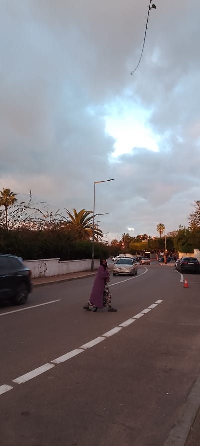 This candid street photograph, set in Aïn El Aouda, Morocco, captures a moment during either dawn or dusk. The sky is largely overcast with soft grey clouds, but a brighter patch indicates the low position of the sun, casting a gentle, warm light on the scene.
The primary subject is a person, likely a woman, dressed in a long purple coat over patterned trousers, actively walking across an asphalt road from right to left. She appears to be carrying something in her arms, possibly a child or a bag, which is partially obscured by her garment.
The road features dashed white lines, suggesting lane separation or an unofficial crossing area. Several vehicles are present: a blurred dark SUV is in motion on the left, while a silver sedan and other cars are visible further down the road, indicating traffic. Modern streetlights stand along the road, and a low white wall separates the road from dense green foliage and tall palm trees that line the street. A lone orange traffic cone is visible on the right side of the road. An unusual detail is a long, thin, thorny-looking branch or vine dangling prominently from the upper left corner against the sky.
The overall impression is a mundane yet atmospheric street scene, depicting daily life in a Moroccan town during the golden hour. There is no visible text in the image, and no strong emotions are conveyed by the subjects.