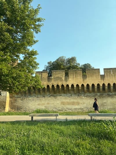 The image depicts a woman walking along a pathway next to a historic stone wall in Avignon, France. The wall is tall and made of rough-hewn stones, with a decorative crenellated top and arched openings along its length. In the foreground, a patch of vibrant green grass is dotted with small white wildflowers, suggesting a park or garden setting. A long, modern concrete bench with metal legs is visible on the pathway. To the left, a large tree with lush green foliage extends into the frame, its branches reaching towards a clear blue sky. The woman, wearing a dark dress and carrying a bag, is walking from right to left in profile. The scene is bathed in sunlight, casting shadows and highlighting the texture of the stone wall and the softness of the grass.