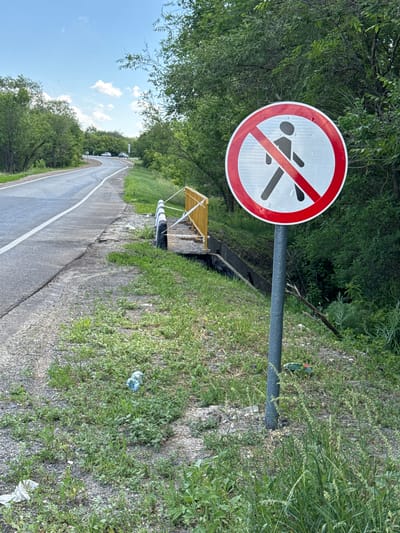 A "no pedestrians" sign is prominently displayed on the right side of a paved road in Novosemeykino, Russia. The sign, circular with a red border and a red diagonal bar, features a black silhouette of a person walking. The road curves to the left, disappearing into a heavily wooded area on either side. A yellow barrier with black and white striped posts runs along the edge of the road, separating it from a drainage ditch or embankment. The ground beside the road is covered in grass and scattered litter, including plastic bottles and wrappers. The sky is partly cloudy. In the distance, a few cars can be seen on the road.