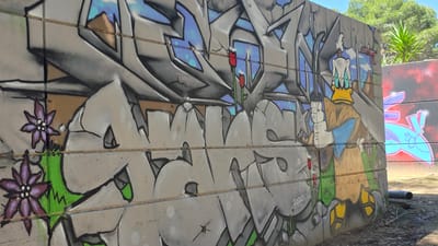The image shows a concrete block wall covered in graffiti in Guardamar del Segura, Spain. The graffiti includes stylized lettering, flowers, and a depiction of Donald Duck wielding a sword. The lettering appears to be in shades of gray and black with some green and brown highlights, while the flowers are purple with green stems. Donald Duck is in his traditional sailor outfit but with a determined expression, holding a large gray sword. Additional graffiti in red and blue is visible on a wall behind the main wall, which is in an outdoor setting with sparse ground vegetation.