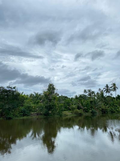 The image depicts a tranquil body of water, likely a river or canal, in Aneuk Paya, Indonesia. The water's surface is dark and reflects the lush greenery and overcast sky above. On the far bank, a dense line of trees and palm trees creates a natural barrier, with their foliage appearing in various shades of green. The sky is filled with dramatic, heavy grey clouds, suggesting an impending rain or a recent downpour. The overall atmosphere is serene and somewhat moody, characteristic of tropical landscapes under cloudy conditions. There are no people or visible man-made structures in the immediate foreground or on the riverbank, emphasizing the natural beauty of the scene.