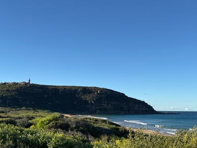 A clear, blue sky dominates the upper portion of the image, with a vast expanse of ocean stretching out to the horizon on the right. In the middle ground, a dark, rocky headland rises steeply from the sea, its surface covered in dense green shrubbery. Perched on the crest of the headland is a white lighthouse with a red roof, its beacon visible against the sky. A small, red-roofed building is situated near the lighthouse.
Below the headland, a sandy beach curves along the coastline, met by the gentle lapping of waves. The foreground is filled with lush, green vegetation, including bushes and smaller shrubs, which blur slightly, creating a sense of depth. The overall scene depicts a serene coastal landscape, likely in or around Palm Beach, Australia, known for its natural beauty and prominent lighthouse. No people or animals are visible in the image.
