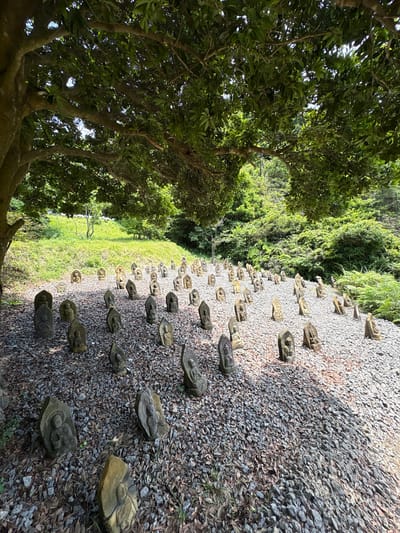 The image depicts a serene outdoor scene on the island of Naoshima, Japan, characterized by a multitude of small, weathered stone statues arranged on a gravel-covered ground. The statues, predominantly of Buddhist figures, are diverse in size and detail, with many showing signs of age and erosion. They are positioned at varying angles and depths, creating a visually rich and somewhat scattered arrangement across the foreground and midground.
Overhead, the dense canopy of a large tree with lush green leaves casts a dappled shadow across the scene, suggesting a sunny day with intermittent shade. The sunlight filtering through the leaves creates a play of light and shadow, highlighting the textures of the stones and the surrounding foliage.
Behind the statues, a gently sloping grassy hill rises, also covered in patches of green grass and scattered dry leaves. Further in the background, a dense, verdant forest with various shades of green foliage creates a natural backdrop, indicating a natural or park-like setting. The overall ambiance is one of tranquility and contemplation, with the stone figures seemingly in quiet communion with nature. The precise location on Naoshima is not specified within the visual information but the context implies a public garden or a dedicated spiritual site on the island.