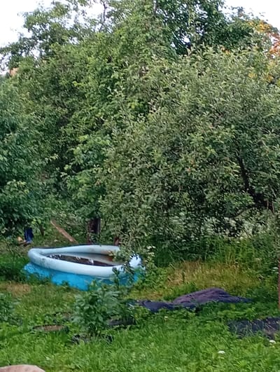A low-angle, slightly blurry outdoor shot captures a small, inflatable swimming pool situated on a patch of green grass. The pool is filled with dark water and has a white rim. Behind the pool, a dense growth of green trees and foliage fills the background, with some lighter sky visible at the very top. A dark, possibly fabric, object is partially visible in the grass in the foreground. The overall scene appears to be a backyard or garden area in Shil'tsevo, Russia.