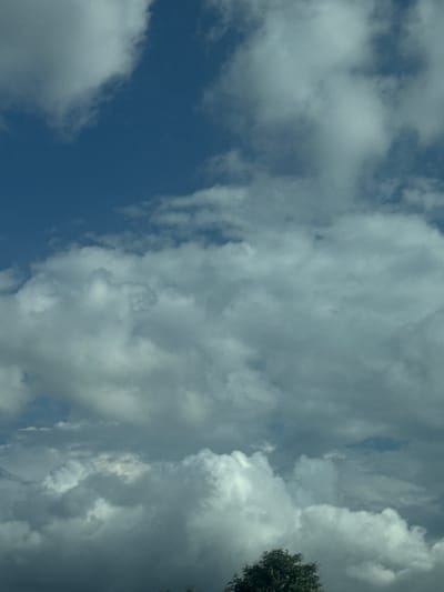 The image is a vertical, low-angle shot of a cloudy sky above a dark silhouette of trees at the bottom. The sky is a deep blue with numerous white and gray clouds, some appearing dense and fluffy, others more wispy and scattered. The lighting suggests it is daytime, with the sun likely behind or obscured by the clouds, creating a diffused and somewhat dramatic sky. The lower portion of the image is dominated by the dark, silhouetted branches and foliage of trees, providing a stark contrast to the bright sky. The scene appears to be an outdoor environment, possibly a natural landscape or park, with no people or man-made structures clearly visible. The image does not provide specific visual cues to pinpoint a location within An Phu Ward, Vietnam, but the general description is consistent with an outdoor, potentially natural setting.