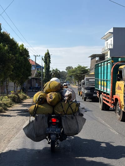The image shows a motorcycle loaded with jackfruits on a road in Pagedangan, Indonesia. The motorcycle, with license plate N 6771 EAK, is heavily laden with a large pile of jackfruits secured with straps. Two large canvas bags hang on either side of the motorcycle. A person wearing a white helmet is visible on the motorcycle. The motorcycle is in motion, heading forward on a paved road. To the right of the motorcycle, a yellow truck and a teal truck are in traffic, indicating a moderately busy road. In the background, there are trees, buildings, and utility poles, consistent with an urban or semi-urban environment. The sky is clear and blue, suggesting a sunny day.