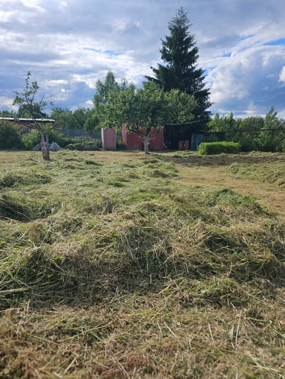 The image depicts a rural scene in Chukholovo, Russia, with a focus on a mown field in the foreground. The field is covered in cut grass, suggesting recent agricultural activity. In the background, a fence separates the mown area from a wooded area with trees and a tall evergreen. Several structures are visible behind the fence, including what appears to be a small red building, possibly a shed or outbuilding, and some barrels. The sky above is partly cloudy with dramatic cloud formations, indicating a dynamic weather pattern. The overall impression is one of a working farm or dacha in a natural setting.