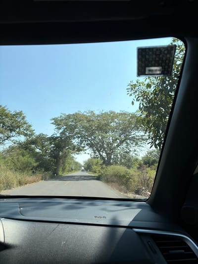 A view from inside a car looking out through the windshield. A road stretches ahead, flanked by trees and shrubbery. The sky is visible between the foliage. A square object, possibly a sticker, is adhered to the upper left corner of the windshield. The right side of the image is dominated by the car's interior, including the dashboard and air vents. The overall scene suggests a drive through a wooded area on a sunny day.