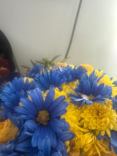 This vibrant image features a dense bouquet of flowers, predominantly showcasing a striking contrast between bright blue and vivid yellow blooms. The floral arrangement occupies the right two-thirds of the frame, set against a plain, light-colored background, likely a wall or indoor surface, on the left.
The flowers appear to be a mix of daisy-like species, with the blue ones featuring distinct petals radiating from a central yellow disc, while the yellow flowers exhibit a more clustered, ruffled petal structure, consistent with chrysanthemums. The blue flowers are a rich, intense shade, complementing the sunny yellow hues. Subtle green foliage is visible among the flowers, particularly on the left edge of the bouquet.
The lighting is bright and soft, suggesting an indoor setting with good illumination, possibly natural light. There are no harsh shadows. A thin, dark horizontal line traverses the upper-left portion of the plain background, and an indistinct, dark object, possibly the top of a vase or a dark surface, is visible at the bottom-left corner of the frame. No specific activity is depicted, and there is no visible text in the image. The overall impression is one of cheerfulness and natural beauty.