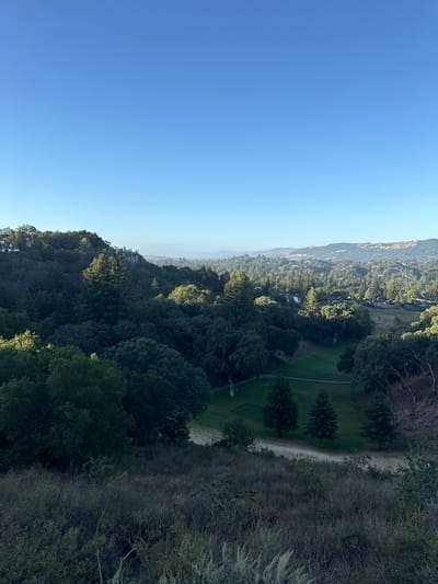This is a vertical, medium shot photograph of a hilly, tree-covered landscape with a clear blue sky on the left. The image appears to be taken from an elevated position, looking down and across a valley. In the distance, rolling hills are visible, with some houses nestled among the trees on the slopes.

The scene is dominated by lush green trees, with a patch of manicured lawn or a golf course visible in the mid-ground. A dirt path or road curves through the grassy area. The time of day appears to be morning or late afternoon, as evidenced by the angle of the sun and the shadows cast on the trees and landscape. The weather is clear and sunny.

The location is likely a suburban or semi-rural area given the presence of houses amidst the natural scenery. The overall mood is peaceful and serene, with the natural beauty of the landscape taking center stage. There are no people or specific objects that stand out prominently, making the landscape itself the primary subject. The image evokes a sense of tranquility and natural beauty. No text is visible in the image.