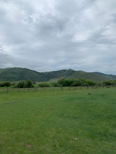 The image depicts a pastoral landscape under a cloudy sky. A vast expanse of green grass covers the foreground, with a rustic wooden fence running horizontally across the middle ground. Beyond the fence, a line of lush green trees forms a dense band, partially obscuring a small, dark wooden building nestled in the distance. In the background, rolling hills covered in green vegetation and scattered trees rise towards the horizon. The sky is overcast with layers of grey clouds, suggesting a potentially overcast or rainy day. The scene conveys a sense of rural tranquility and natural beauty. The location is identified as Khurai-Nur, Russia.