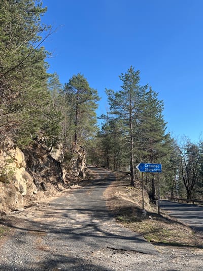 The image depicts a rural mountain road or path in the vicinity of Stoianovo, Bulgaria. A blue rectangular road sign on the right side of the road indicates "СТОЯНОВО Stoyanovo" in white text, with a white left-pointing arrow and the number "1", suggesting a route or distance to the location. The road surface is dark, worn asphalt or pavement, with gravel and dirt shoulders. It curves sharply to the left and appears to ascend into a dense forest.
To the left of the road, a significant natural rock embankment rises, composed of light-colored, yellowish-brown rock faces with visible strata. Pine trees and other deciduous trees, some with bare branches, grow from and atop this rocky slope. Strong sunlight casts distinct shadows across the rock and the road.
To the right of the road, tall, slender pine trees dominate the immediate foreground and extend into the distance, forming a dense forest canopy. The ground slopes downwards beyond the road sign and trees, with a metal guardrail visible further down the incline. The sky is clear and bright blue, devoid of clouds, indicating sunny weather conditions. No individuals or animals are present in the scene.