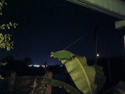 The image depicts a nighttime scene with a dark, clear sky. In the foreground, a large, bright green banana leaf dominates the right side of the frame, with its edges curving upwards. To the left of the leaf, a thin, dark pole extends vertically, and further to the left, there are out-of-focus branches with small green leaves. In the mid-ground, a dark silhouette of what appears to be a fence or wall is visible, with some vegetation growing near it. In the background, a distant city skyline with numerous scattered lights can be seen, suggesting an urban or suburban environment. A faint crescent moon is visible in the upper right portion of the sky. The overall lighting is low, characteristic of nighttime, with the primary light sources being the distant city lights and the moon. The location is identified as Chereshnya, Russia.