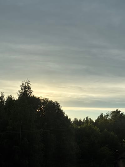 The image captures a twilight scene of a dense forest against a cloudy sky. The sky is a gradient of grey and pale yellow, with horizontal cloud bands suggesting wispy, elongated formations. The sun is low on the horizon, with its light filtering through a break in the trees, casting a warm glow.
The foreground is dominated by the dark silhouettes of numerous trees, their foliage appearing thick and lush. A single, taller tree stands out in the center-left of the frame, its upper branches reaching towards the sky, with some of its leaves catching the sunlight. Two parallel wires, likely power or telephone lines, stretch horizontally across the mid-section of the image, cutting through the dark foliage. In the lower right corner, a portion of a dark-tiled roof is visible, suggesting the presence of a building. The overall impression is one of a natural landscape at the edge of a populated area. The image does not contain any identifiable people or animals. The location is specified as the city of Imeni Morozova, Russia.