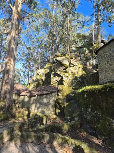 The image depicts a rocky landscape, possibly in Esposende, Portugal, characterized by a combination of natural and man-made elements. The foreground features the trunks and branches of trees reaching towards a blue sky, interspersed with foliage. The central focus is on a rugged rock formation, partially covered in green moss and vegetation. A man-made structure, appearing as a stone wall or building, is situated atop the rock formation. The overall scene evokes a sense of natural beauty juxtaposed with historical architecture.