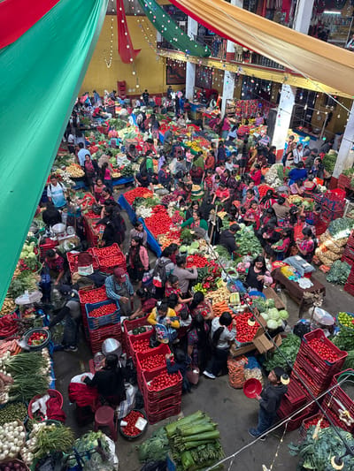 An overhead view captures a large, crowded indoor market in Chichicastenango, Guatemala. The market features a high ceiling adorned with draped green, red, and golden fabric panels, interspersed with strings of small lights. Yellow walls and an upper level or balcony are visible in the background. The concrete floor is densely populated with market stalls and numerous individuals.

Approximately 50-70 people, including adults and children, are present. Many women are dressed in traditional Guatemalan clothing, characterized by vibrant, patterned textiles. Several men are also observed, some wearing hats.

The market stalls are laden with fresh produce displayed in large piles on tables and predominantly within red plastic crates. Key items include extensive quantities of red tomatoes, green cabbages, various leafy greens, carrots, white and red onions, potatoes, limes, and watermelons. Additional visible produce encompasses avocados, bell peppers, and items bundled in banana leaves. Weighing scales are positioned on some vendor tables. Individuals are engaged in inspecting produce, selecting items, conducting transactions, and navigating the crowded market space.