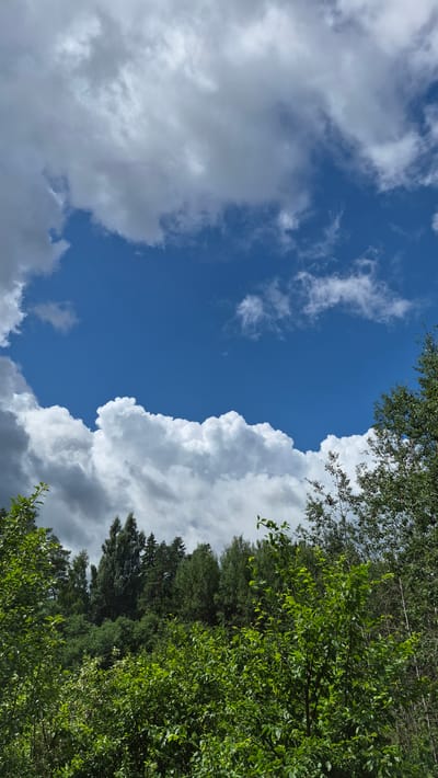 The image depicts a natural outdoor scene, likely a forest or wooded area, with a vibrant blue sky and fluffy white clouds dominating the upper portion. Lush green foliage, consisting of trees and bushes, fills the lower half of the frame, creating a dense canopy. The perspective suggests the viewer is looking upwards from within the vegetation towards the sky and a distant treeline. The weather appears to be partly cloudy, with both bright white cumulus clouds and darker, more overcast cloud formations visible. The overall impression is one of natural beauty and a serene, possibly summer, environment. The location in Ļūbaste 0001, Latvia, indicates a rural or suburban setting with abundant greenery. There are no people, animals, or man-made structures visible in the image.
