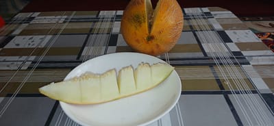 A whole, halved melon sits on a patterned tablecloth. Sliced pieces of melon are arranged on a white plate, also on the tablecloth. The melon is orange-yellow with visible netting on its rind. The tablecloth has a checkered pattern with brown, grey, white, and black lines, and subtle floral designs. The setting is indoors.