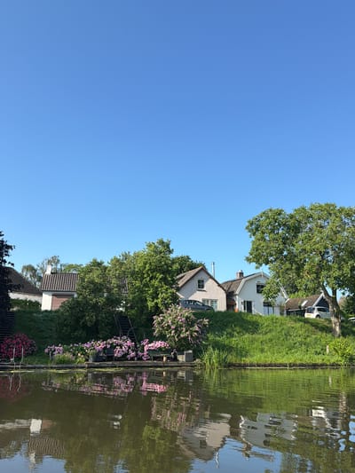 This image shows a tranquil scene in Gellicum, Netherlands, featuring several houses situated along a canal. The houses, with their distinct architectural styles, are nestled behind lush green grass and mature trees, some adorned with vibrant pink flowering bushes. The canal in the foreground reflects the sky, greenery, and the houses, creating a picturesque and serene atmosphere. The sky is a clear, bright blue, indicating a sunny day. The overall impression is one of a peaceful residential area by the water.