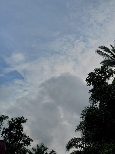 The image depicts a cloudy sky above tropical vegetation in Keude Cunda, Indonesia. The upper-left quadrant shows a light blue sky with scattered, thin white clouds. The majority of the sky is covered by denser, white to gray stratocumulus cloud formations, particularly prominent in the central and right portions, suggesting an overcast or partly cloudy condition. Dark green foliage from several trees frames the lower and side edges of the frame. On the right, multiple palm fronds and the dense canopy of a broad-leafed tree are visible, extending into the frame from the top and right sides. On the left, the upper portion of a tree with smaller, denser leaves is present. A small section of a reddish-brown tiled roof is visible in the lower-left corner, beneath the foliage. No individuals, animals, or specific actions are discernible within the scene.