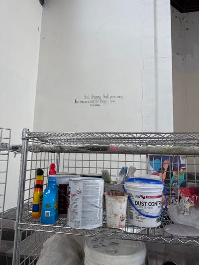 Here's a description of the image:
The image shows a cluttered scene with a focus on painting and cleaning supplies. The location appears to be indoors, potentially a storage area or workspace.
On the right side of the image is a metal shelving unit filled with various items, including:
* A white bucket labeled "USG SHEETROCK Dust Control".
* Several paint cans of different sizes.
* Paintbrushes.
* Blue spray bottle labeled "Formula 409".
* A bottle with yellow and blue stripes.
The left side of the image features a white wall with some peeling paint and an inscription that reads "the things that are easy for me are not the things I love rin chou."
It appears this photo was taken indoors, in the Town of Red Hook, United States of America.