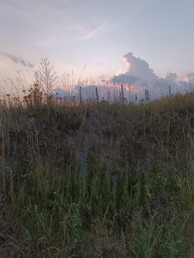 A natural landscape shot taken from a low angle shows a grassy hillside at dusk. The sky above is a pale lavender with some scattered clouds, and the sun is setting behind a large, bright cloud formation. The hillside is covered in tall, dry grass and some scattered blue wildflowers. The scene appears to be an undeveloped area, possibly a field or a park.