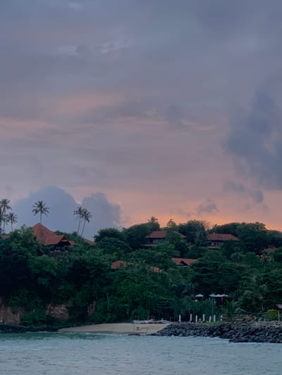 This is a vertically oriented, medium-shot, outdoor photograph of a tropical coastline at dusk. The scene is dominated by a lush, green hillside covered in dense foliage and palm trees, with several buildings featuring terracotta roofs nestled within the greenery. The hillside slopes down towards a narrow sandy beach, which is bordered by a rocky shoreline on the right side of the frame. Gentle waves lap at the shore, and the water appears a muted blue-green.

The sky is a soft blend of blues and greys, with hints of pink and orange near the horizon, indicating either sunrise or sunset. The lighting is dim, suggesting it is either early morning or late evening. The mood is serene and tranquil. There are no people visible in the frame, and no text is present. The location appears to be a resort or private residences situated on a tropical island, possibly in Batawala, Sri Lanka, given the vegetation and coastal setting. The overall impression is one of peaceful natural beauty and secluded luxury.
