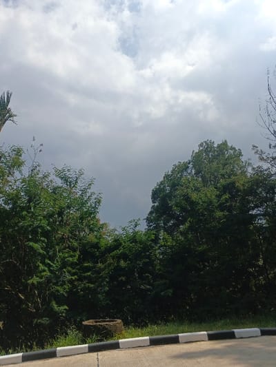 The image depicts a roadside view under a cloudy sky. Dense green trees line the road, partially obscuring the horizon. A short concrete barrier with black and white stripes borders the asphalt. A round concrete structure sits amidst the grass between the road and the trees. The lighting is diffused, with the sky appearing overcast.