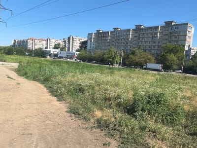 A long row of Soviet-era apartment buildings stretches across the horizon under a clear blue sky, indicative of a bright, sunny day. The buildings, characterized by their concrete facades, uniform windows, and protruding air conditioning units, appear to be in a residential area. In the foreground, a dirt path curves to the left, bordered by a dense field of tall green grass dotted with small white wildflowers. Beyond the grassy area, a road runs parallel to the buildings, with several cars and a white truck visible. Trees are scattered throughout the scene, interspersed with the buildings and along the roadside, adding a touch of nature to the urban landscape. The overall impression is a typical summer day in a Russian city, possibly in the Rostov Oblast, given the location context of Verkhnetemernitsky. There is no discernible text in the image.
