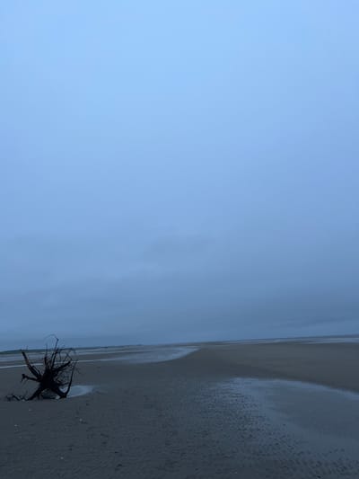 A driftwood stump with exposed roots rests on a sandy beach under a vast, overcast sky. The tide is out, revealing wet sand and shallow pools of water. In the distance, a flat horizon line separates the sand from the sky, with a hint of land or structures visible on the far left. The overall scene is muted and somber, illuminated by diffused light. The location is Yandova Guba, Russia.