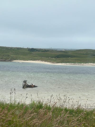 The image depicts a calm body of water with a partially submerged shipwreck in the foreground. The shipwreck appears to be an older wooden vessel, broken and weathered. The water is a muted blue-green, with a sandy beach visible in the mid-ground. Behind the beach, a rolling green hill rises, dotted with vegetation and some distant structures that might be houses or farm buildings. The sky is overcast and a pale gray. In the foreground, tall grasses and reeds are in sharp focus, framing the view of the water and the landscape beyond. Two small white boats are visible on the water near the beach. The overall scene suggests a remote, coastal environment. The location is identified as Bunbeg, Ireland.