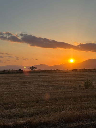 The image depicts a sunset over a harvested field in Blatets, Bulgaria. The sky is a gradient of pale blue and orange, with scattered clouds tinged by the setting sun. In the mid-ground, rolling hills form a hazy silhouette against the vibrant orange sky. A lone tree stands to the left of center, silhouetted against the sunset. To the left of the tree, a large piece of agricultural machinery, possibly a combine harvester, is visible. The foreground consists of a field of stubble, with rows of cut stalks creating a textured pattern. The overall scene is serene and captures the end of a harvest day.