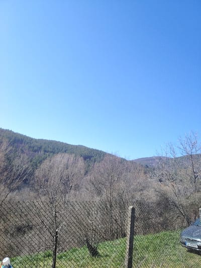 The image displays a mountainous landscape in Vlado Trichkov, Bulgaria, under a clear, unblemished blue sky that occupies approximately the upper two-fifths of the frame. A large hill densely forested with coniferous trees (likely pines) occupies the mid-ground, extending from the left to the center. Below this, numerous deciduous trees with bare branches cover the lower slopes and mid-ground. In the foreground, a dark chain-link fence runs diagonally across the lower third of the image, erected over green grass. A prominent, weathered concrete fence post stands vertically near the fence's center-right. The front-right quarter of a dark grey sedan is visible behind the fence on the far right, displaying its headlights and a partially legible Bulgarian license plate with a "CA" designation. A small, white and blue plastic container is partially visible in the grass at the extreme lower-left corner. No human subjects or discernible actions are present.