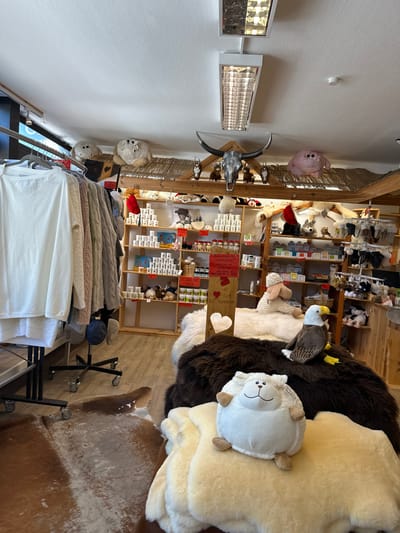 The image depicts the interior of a retail store in Hinterzarten, Germany, specializing in rustic and artisanal goods. The scene is characterized by wooden shelving units filled with various items, including jars, candles, and decorative objects. Hanging clothing, predominantly sweaters and tops, is displayed on a rack to the left of the frame. Several plush toys, including a sheep and an eagle, are placed on sheepskin rugs in the foreground. The ceiling features overhead lighting fixtures. The overall ambiance suggests a cozy and traditional shop environment.