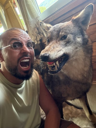 This media file is a selfie taken indoors, likely in Zgorigrad, Bulgaria. The primary subjects are a person and a taxidermied wolf. The person, positioned in the foreground, is wearing sunglasses and a light-colored t-shirt. They have a beard and their mouth is wide open in a surprised or playful expression. Behind them, the wolf's head is prominently displayed, with its mouth open to reveal sharp teeth and its tongue visible. The wolf appears to be a large specimen, with realistic fur and facial features.

The setting includes wooden walls in the background, suggesting a rustic or cabin-like interior. To the left of the frame, a window with curtains is visible, offering a glimpse of greenery and daylight outside, indicating the photo was taken during the daytime. The overall mood of the image appears to be lighthearted and potentially humorous, with the selfie-taker seemingly interacting playfully with the taxidermied wolf. There is no visible text in the image.
