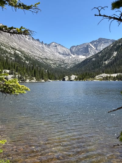 A calm, clear blue lake reflects the sky, surrounded by dense green pine forests that climb up the steep, rocky slopes of a mountain range. Patches of snow are visible on the upper elevations of the mountains, which are jagged and gray. The foreground of the lake is shallow and clear, revealing colorful rocks beneath the water's surface. Pine branches with green needles frame the top of the image, casting subtle shadows. The sky is a cloudless, vibrant blue. The scene is set in a natural mountain landscape, likely a park or wilderness area, within the vicinity of Allenspark, Colorado, United States. There are no people or man-made structures visible in the image.