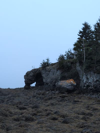 A rocky coastline with a natural archway is depicted under an overcast sky in West Isles Parish, Canada. The foreground is covered in dry, matted vegetation, suggesting a coastal marsh or beach. A large boulder with orange lichen is visible on the right side of the frame. Trees grow along the clifftop overlooking the arch. The scene appears to be either early morning or late evening due to the muted light.