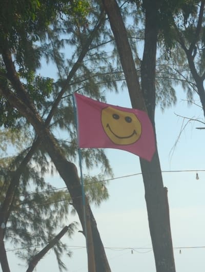 A pink flag bearing a yellow smiley face hangs from a tree branch. The tree, with its many thin branches and greenery, fills the lower portion of the frame. A clear blue sky is visible in the background, interspersed with the tree's foliage. The flag appears to be gently swaying or hanging loosely from the branch.