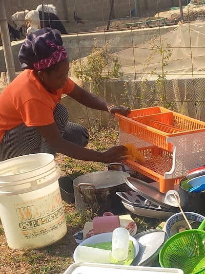In Agingi Zion, Nigeria, an adult female is observed outdoors, actively engaged in washing dishes. The individual, dressed in an orange short-sleeved top, black and white striped pants, and a dark purple headwrap with a pink patterned band, is in a crouched position. Her right hand holds a yellow scrubber or sponge, interacting with an orange two-tiered plastic dish drying rack held by her left hand. A collection of diverse kitchenware, including metal pots, plastic and ceramic plates, bowls, cups, and a green plastic strainer, are arranged on the dirt and sparse grass directly in front of her. A white plastic bucket, partially labeled "SWAN... PO P.O.P BREEDING...", is positioned in the left foreground. Behind the subject, a wire mesh fence separates the immediate activity area from a background featuring concrete structures, additional wire mesh enclosures, and sparse vegetation. Within these enclosures, two white goats and a dark-feathered fowl are visible. The scene is illuminated by natural daylight.