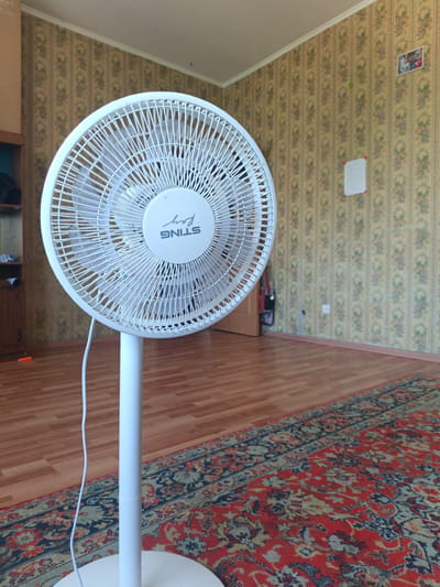 The image depicts an indoor scene, likely a room in a residential dwelling in Podvyaz’ye, Russia. The primary subject is a white oscillating fan positioned in the foreground, occupying a significant portion of the frame. The fan is standing on a circular white base, supported by a vertical pole. Its grille is white with thin, closely spaced bars, and the central hub displays the branding "STING Ray" in dark lettering. The fan's blades are visible through the grille.

The background consists of a wall covered in floral wallpaper featuring a repeating vertical pattern of light yellow with interspersed darker motifs of flowers and leaves in shades of green and pink. A thin white crown molding runs along the top of the wall. Several items are affixed to the wall: a framed picture on the upper right, a small green object below it, and a white square document or note below that. To the left, a wooden closet or cabinet is partially visible, with shelves containing some items.

The floor is covered with polished wooden planks in a light brown hue. In the lower right and extending into the foreground, a large rug with a traditional Persian design is laid out. The rug features a predominantly red background with intricate patterns in blue, black, and cream. The overall lighting suggests a bright, possibly natural light source from the right. The scene is static, with no people or active interactions evident. The environment appears to be a living space, characterized by its domestic furnishings and decor.