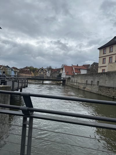 The image captures a view along the Regnitz River in Bamberg, Germany, from what appears to be a bridge or embankment. The river flows from the middle to the right of the frame, its surface reflecting the overcast sky. A metal railing and support structure are visible in the foreground, partially obscuring the river view.
On the river's edge, there are buildings with traditional German architecture. Some of the buildings feature red-tiled roofs, while others have lighter-colored facades and multiple windows. A stone retaining wall runs along the riverbank, separating the buildings from the water.
The sky is heavily overcast with dense clouds, casting a muted light on the scene. The river's water appears murky and grayish, typical of a cloudy day. No people are visible in the frame, making the scene appear still and quiet. The scene offers a typical view of Bamberg's historic waterside architecture under gray skies.