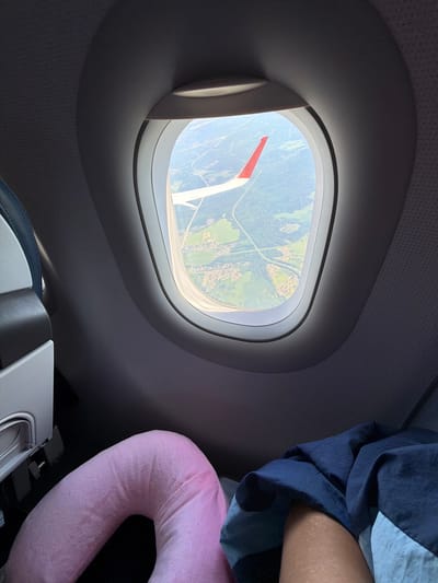 The image shows a view from an airplane window. Outside the window, a landscape with green fields, trees, and houses is visible. An airplane wing with a red tip extends into the frame. Inside the plane, a pink pillow and a blue blanket are on the seat. The image is taken from a seated perspective, suggesting a passenger's view. The location is specified as Бордуки, Russia.