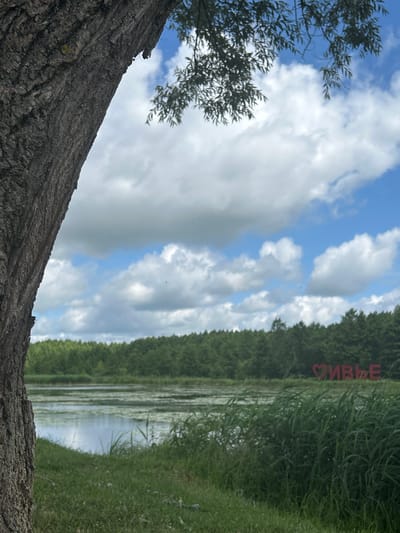 The image depicts a serene lakeside scene with a large tree trunk in the foreground on the left. Beyond the tree, a calm body of water is visible, covered in patches of aquatic vegetation. A dense, green forest lines the far bank of the lake. Above the trees, a bright blue sky is dotted with fluffy white clouds. In the mid-ground, positioned on the far bank of the lake, a large, red, three-dimensional inscription reads "ЖЫВЕ" which translates to "Long live" in Belarusian. The overall environment suggests a natural, outdoor setting in Iwye, Belarus, likely a park or recreational area. There are no people visible in the image. The lighting indicates it is daytime, possibly late morning or early afternoon, with the sun casting soft light on the scene.