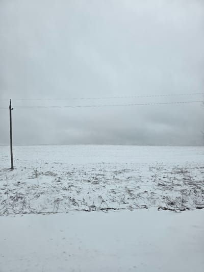 The image depicts a snow-covered field under an overcast sky in Nekrasovo, Russia. An electrical pole stands along the bottom of the field, with power lines extending into the distance. Sparse vegetation is visible through the snow cover on the field. The sky is gray and uniformly cloudy.
