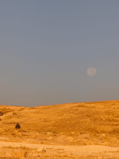 In the city of Keidar, Palestinian Territories, a person is observed sitting in a desert landscape. The environment is characterized by sand dunes and sparse vegetation. The sky above is a clear, pale blue, and a full moon is visible in the upper right quadrant of the image. The overall scene suggests a solitary moment in a vast, arid expanse.