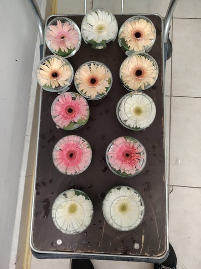 In Konigil, Uzbekistan, a top-down view captures a collection of twelve gerbera daisies arranged in individual clear glass bowls. The flowers exhibit a range of colors: five are pink, three are peach, and four are white. Each flower is partially submerged in water, with green leaves visible beneath the petals. The bowls are placed on a dark brown surface, possibly a tray or table, which is speckled with water droplets. This surface is supported by a metal frame, suggesting a trolley or cart. The background consists of a white wall on the left and tiled flooring on the right. The scene appears to be indoors, possibly in a workshop or preparation area for an event.