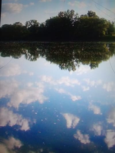 The image displays a body of water reflecting the sky and trees. The top half of the image shows a line of dense green trees against a pale blue sky with scattered white clouds. The bottom half is a reflection of this scene in the water, with the sky and clouds appearing as distorted shapes. The water itself seems calm, with only minor ripples disturbing the reflection. The image is taken from a low angle, looking across the water towards the trees. There are no people or man-made objects visible in the scene. The overall impression is one of a natural landscape.