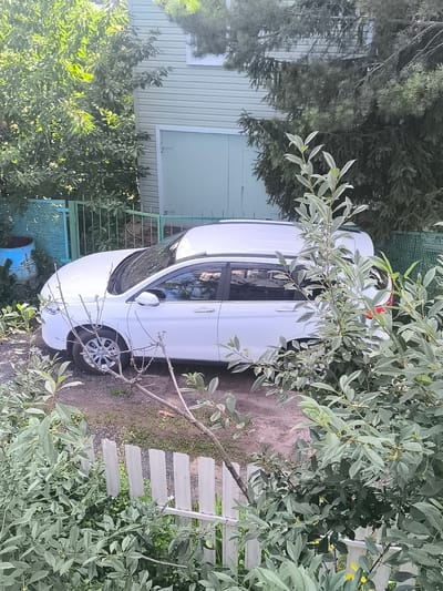 A white station wagon is parked on a gravel surface in front of a light green, horizontal-siding house in Березки, Russia. The car is partially obscured by lush green foliage from several trees and bushes. A light blue, rusted barrel sits behind a green mesh fence to the left of the car. A white, picket-style fence is visible in the foreground, also partially covered by leaves. The sky is not visible.